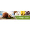 Soothing Coconut Fragrance Notes f7869acf f806 48d7 b850 faaadf3bba10