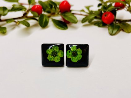 AnyConv.com IMG E1919