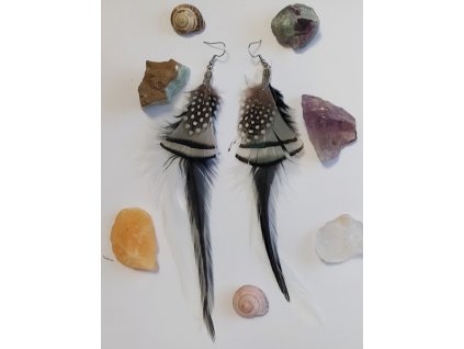 Kropenaté náušnice