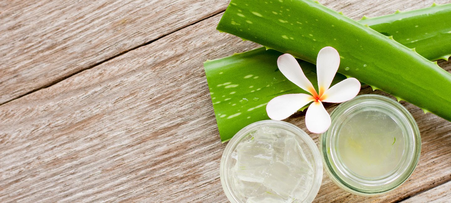 Aloe s kvetom