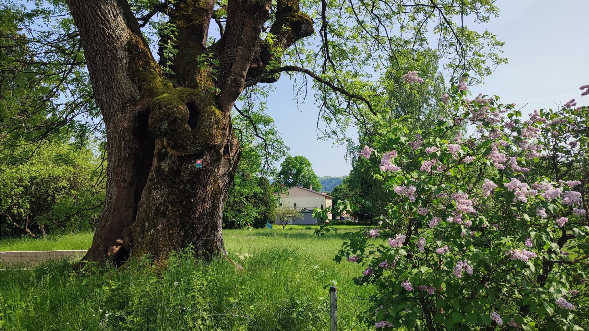 Akcie a podujatia na Orave - jar 2025