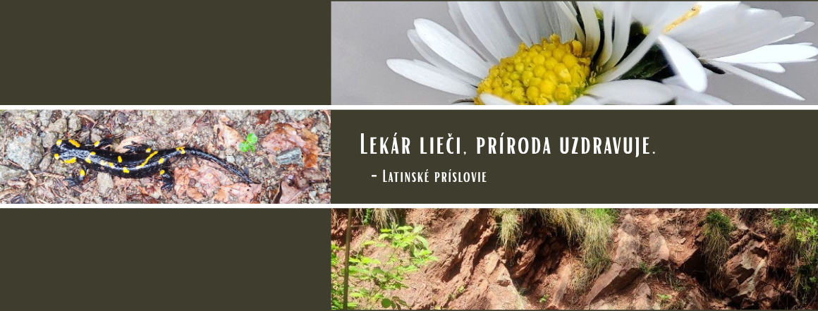 Krásy Oravy - Leto na Orave