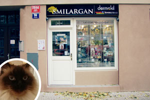 Objednávky po telefonu