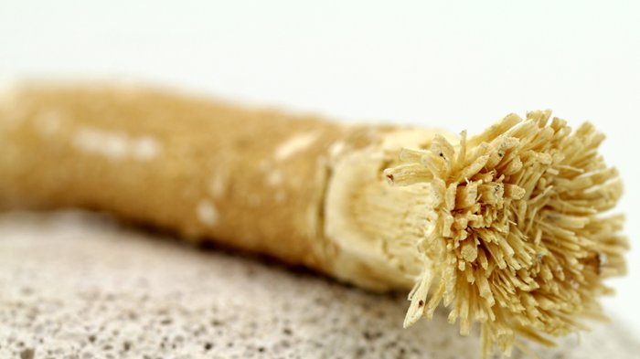 přírodní kartáček siwak miswak