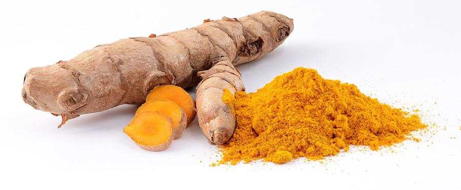 Oddenky kurkumy (Curcuma longa)
