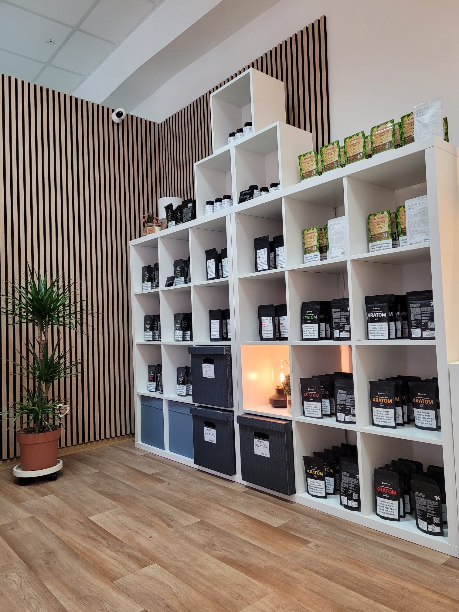 Kratom Ostrava prodejna – interiér 2