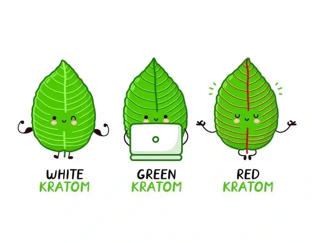 red-green-white-kratom-strains_92289-2574