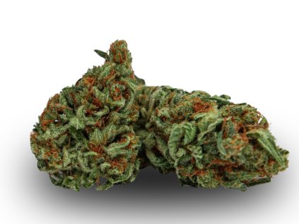 CBD květy - FENOMOON