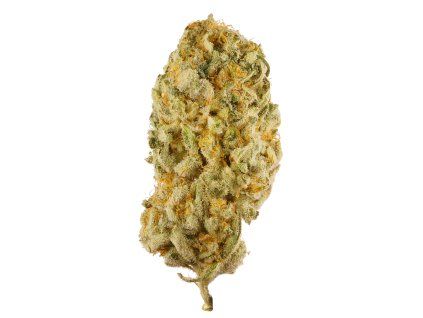 CBD květ Jack Herrer 18 %
