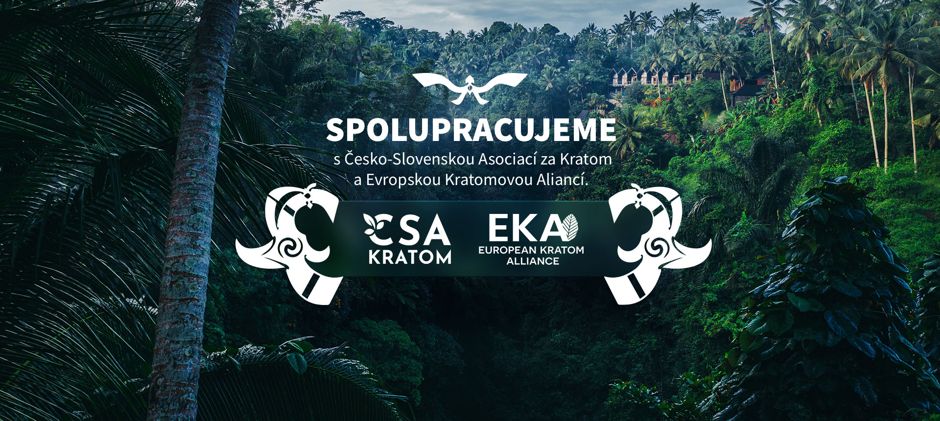 Spolupráce s Česko-Slovenskou Asociací za Kratom CSAK a European Kratom Alliance EKA