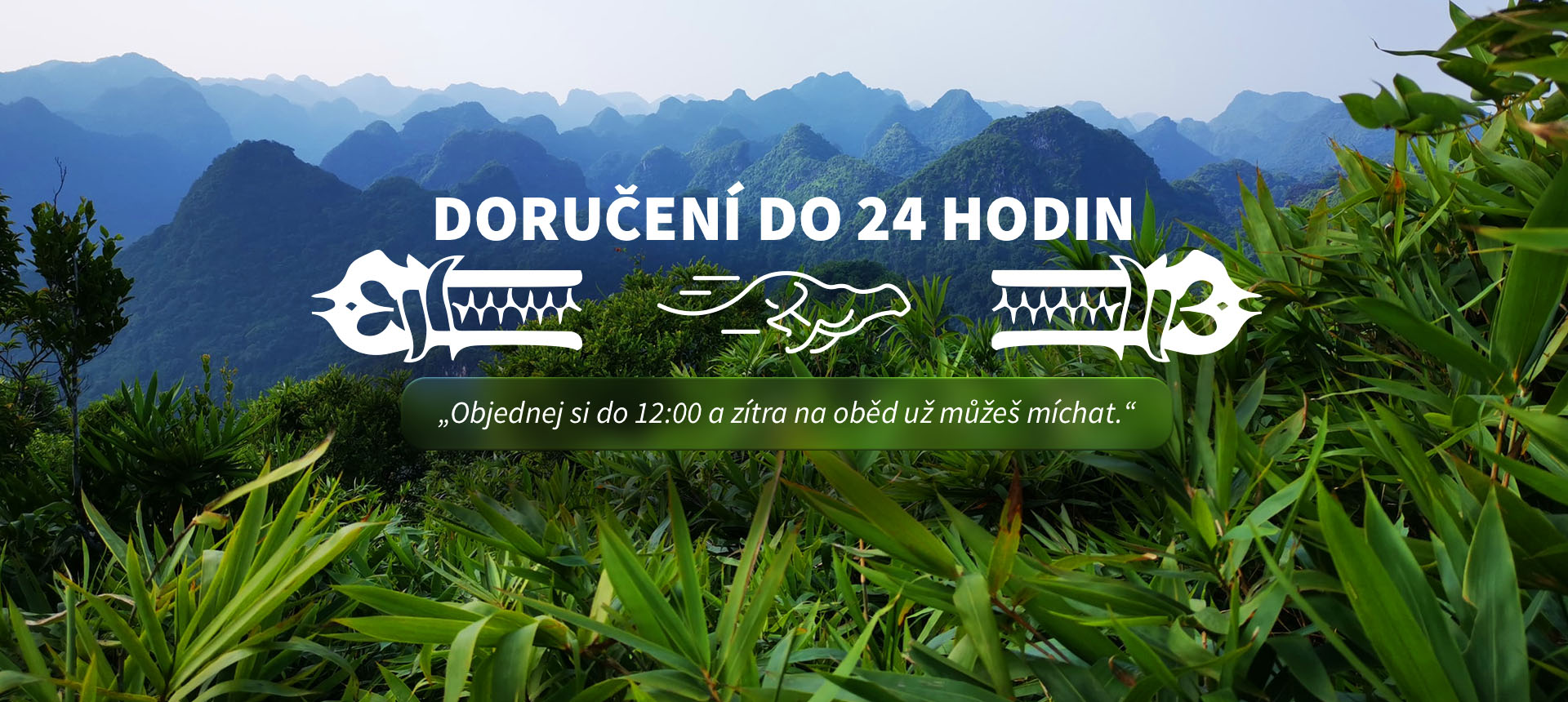 Doručení do 24 hodin