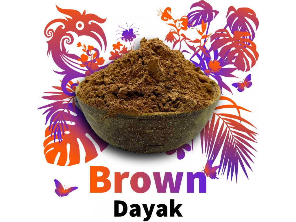 Brown Dayak 1024x1024 a