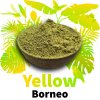 Yellow Borneo 1024x1024 a