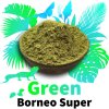 Green Borneo Super 1024x1024 a