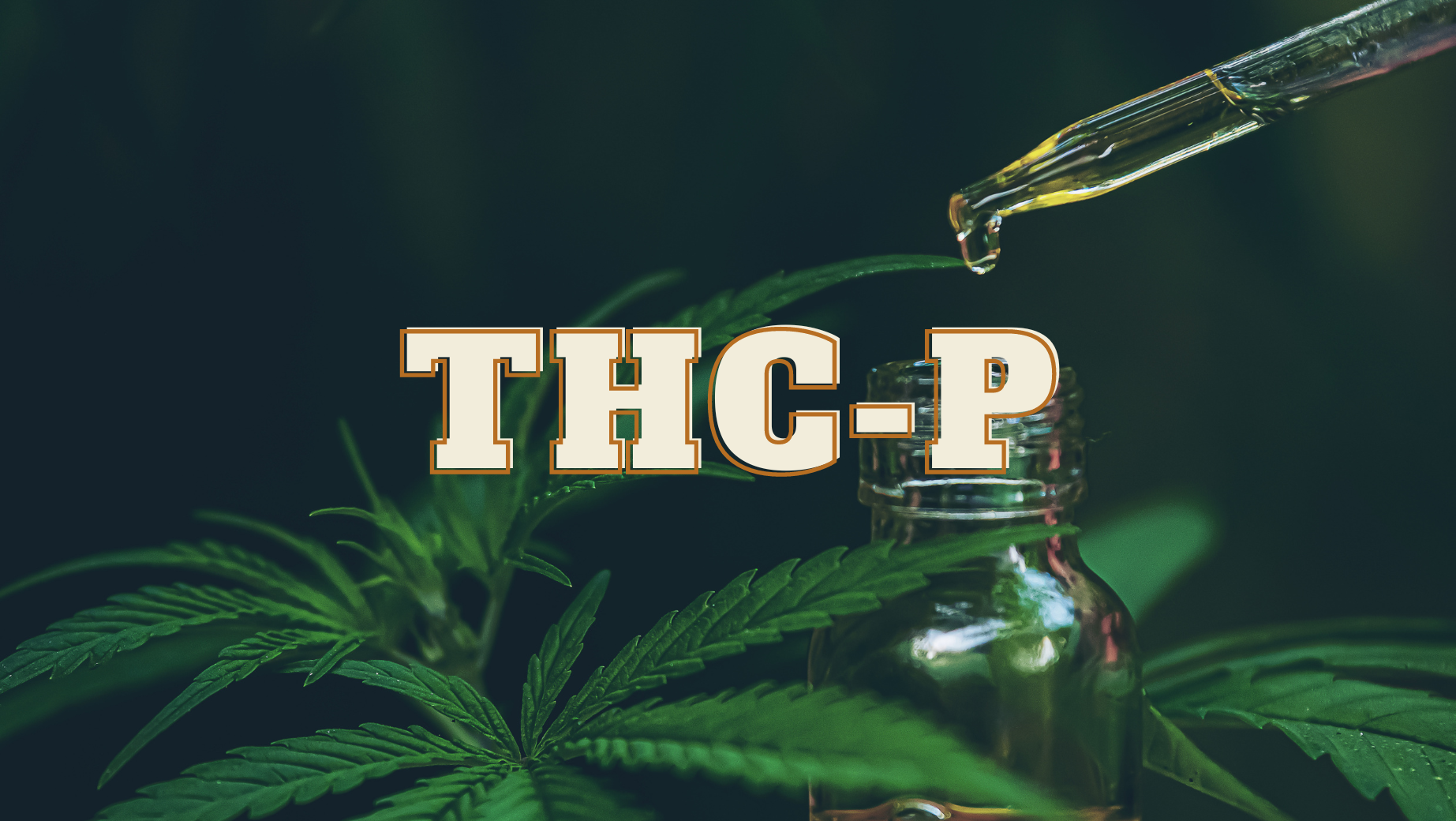 Nový horizont ve světě kanabinoidů