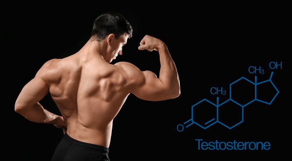 Jak si zvýšit testosteron přirozeně?