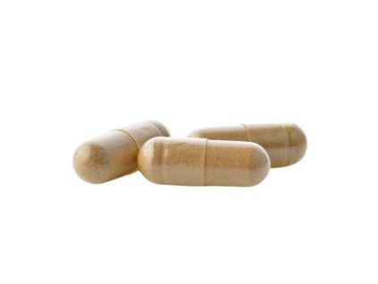 Kratoless Oprava (8)