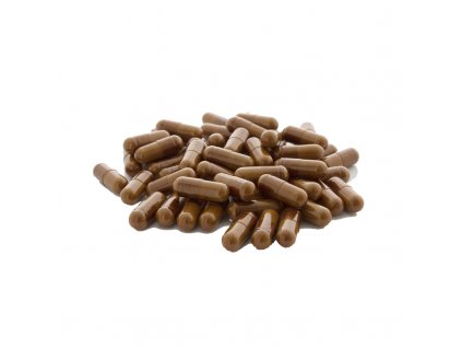 H866a9613d1b24bce8a1e81cf57ccd090O