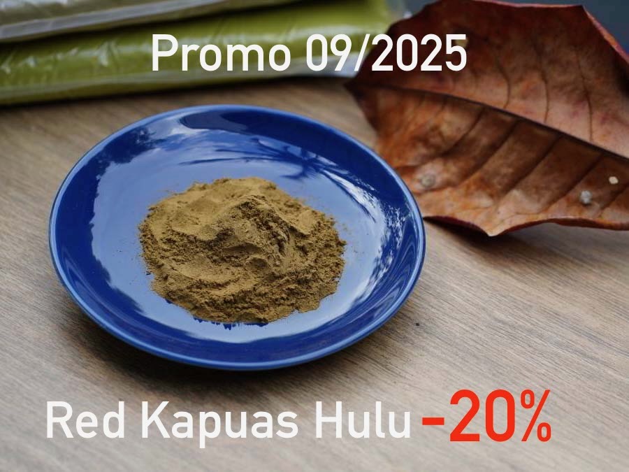 September Red Kapuas Hulu Promo