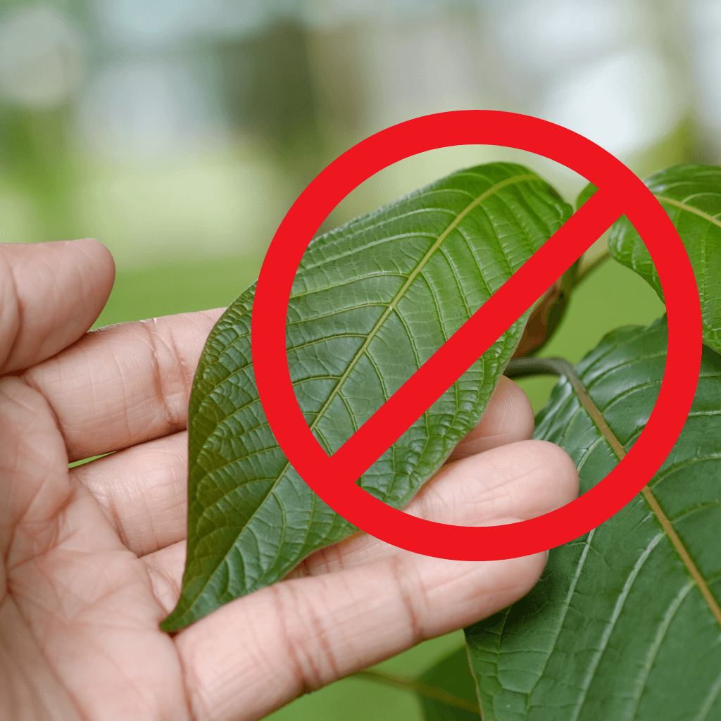 Zákaz kratomu: Argumenty pro a proti