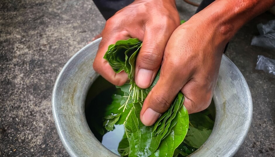 zodpovědné užívání kratomu