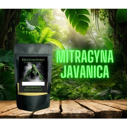 Mitragyna Javanica