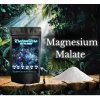 Magnesium Malate – Energie pro tělo i mysl, bez únavy a křečí