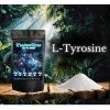 L- tyrosine - doplnění dopaminu a zlepšení nálady