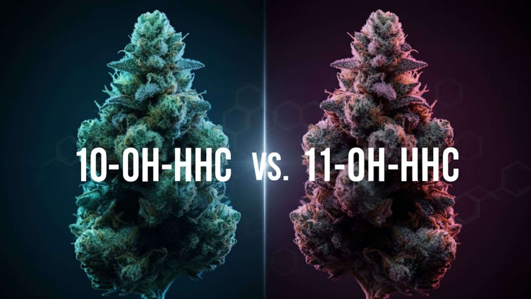 10-OH-HHC vs. 11-OH-HHC