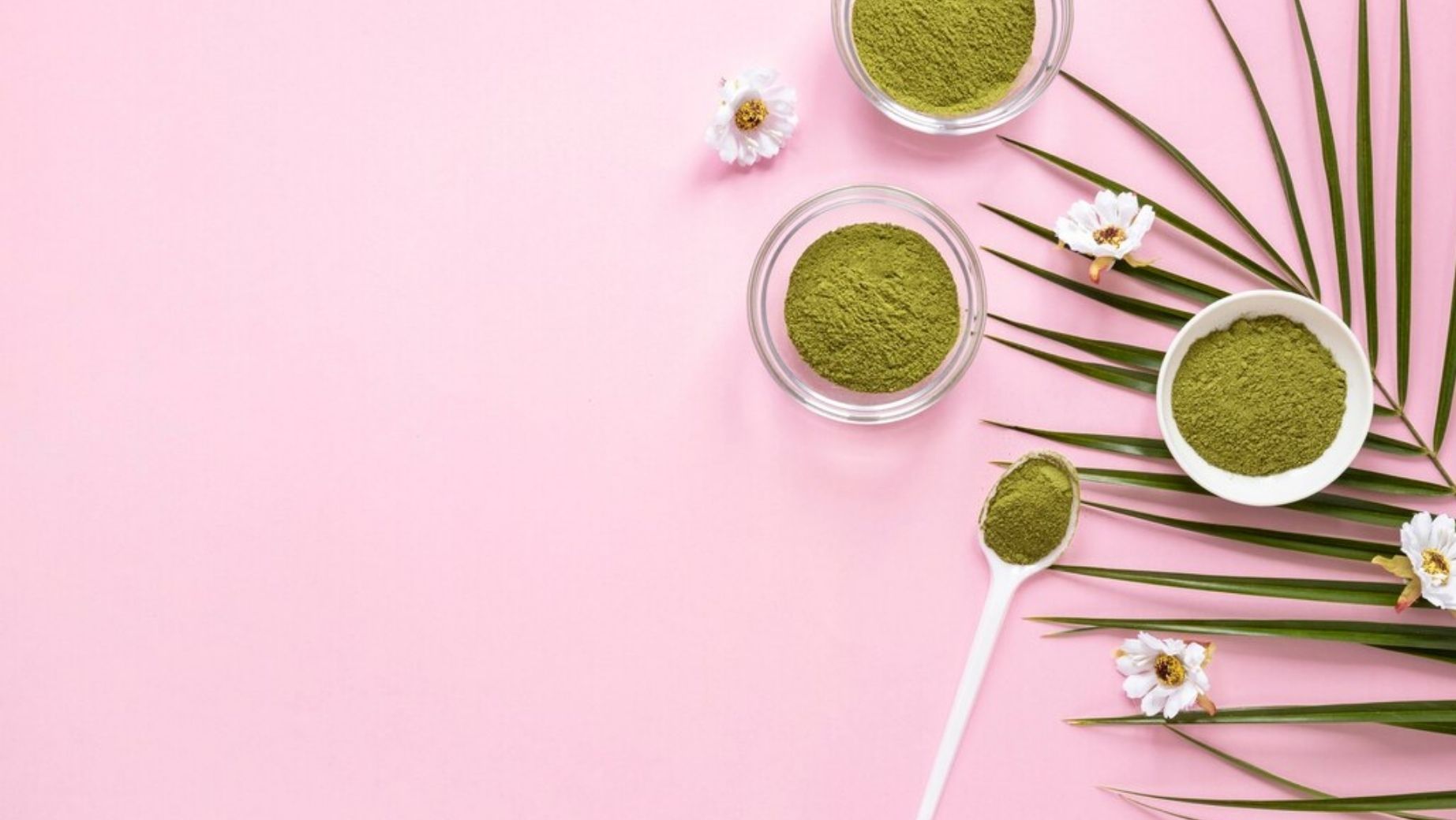 Jak si vybrat kratom?