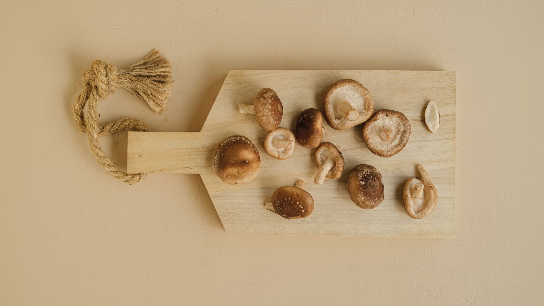 Shiitake - přírodní léčitel dlouhověkosti
