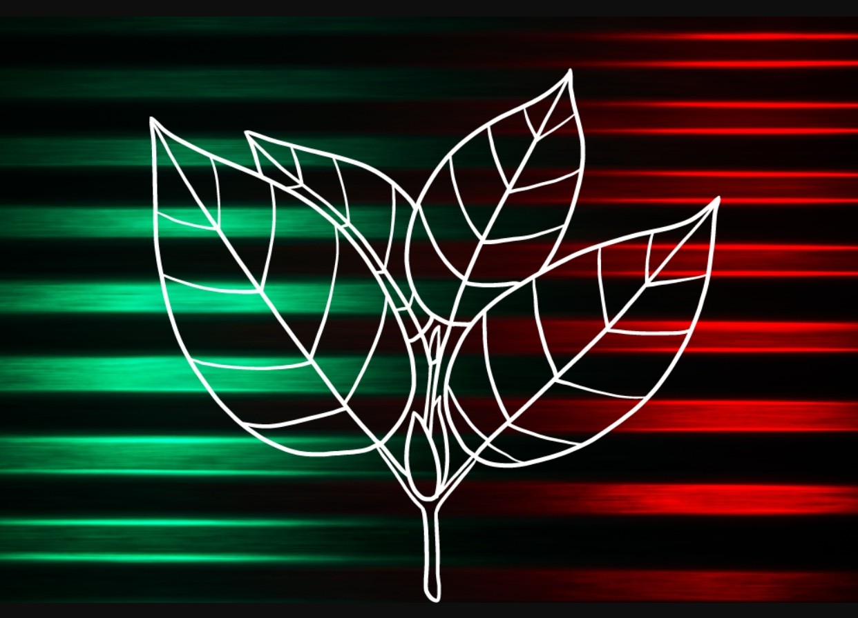 Nepřehlížejte rozdíly: Zelený a červený kratom vysvětlení