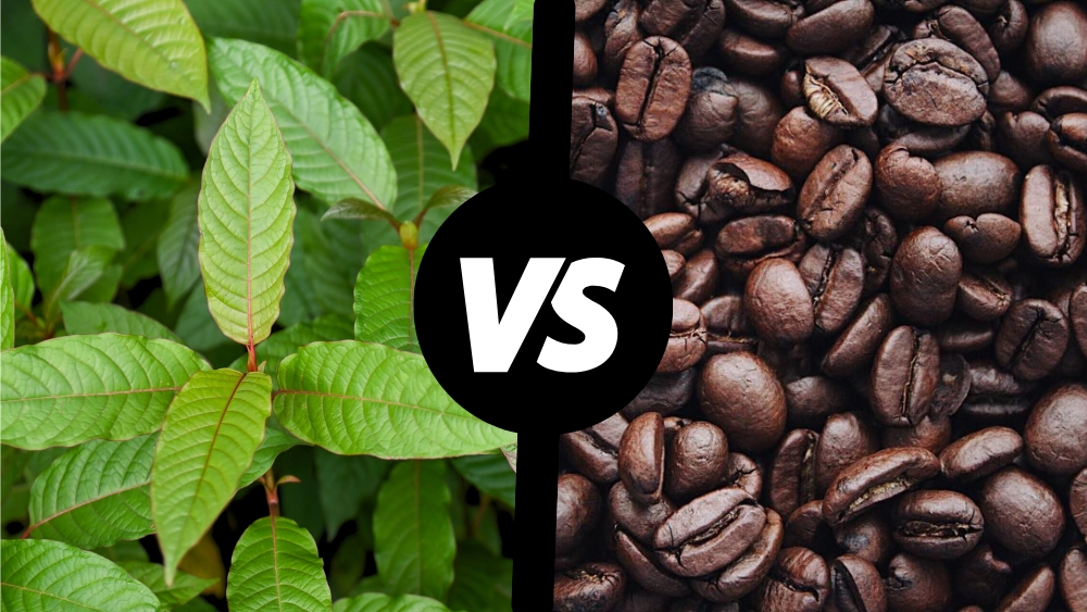 Kratom vs. káva: který stimulant je pro vás lepší?