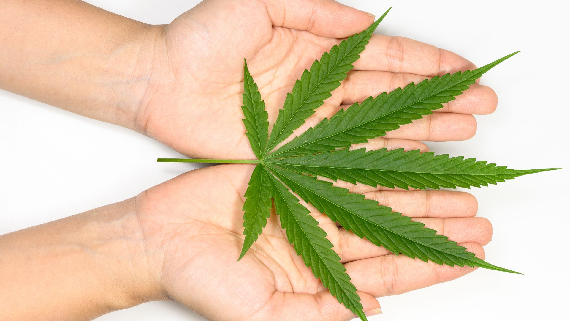 THC-R zkušenosti: Recenze a pocity uživatelů z první ruky