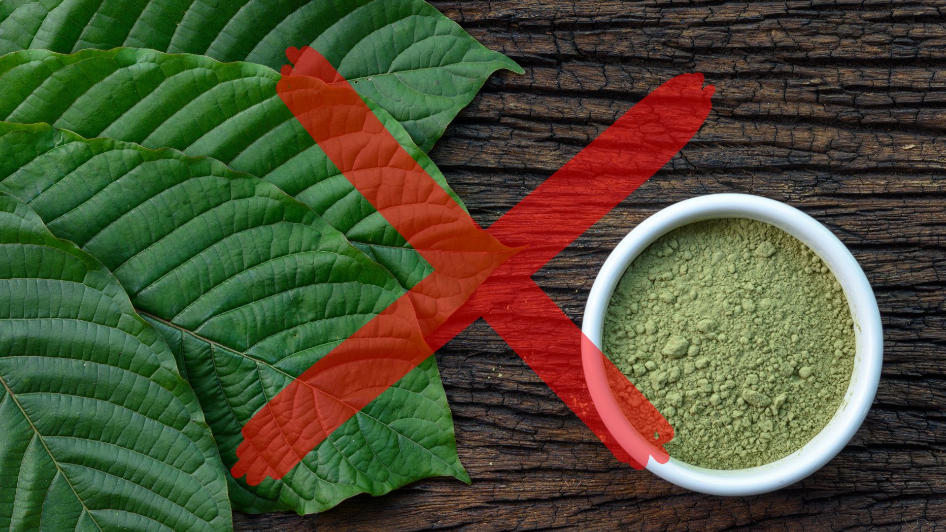 Nová regulace kratomu v ČR: kde a za jakých podmínek lze kratom koupit