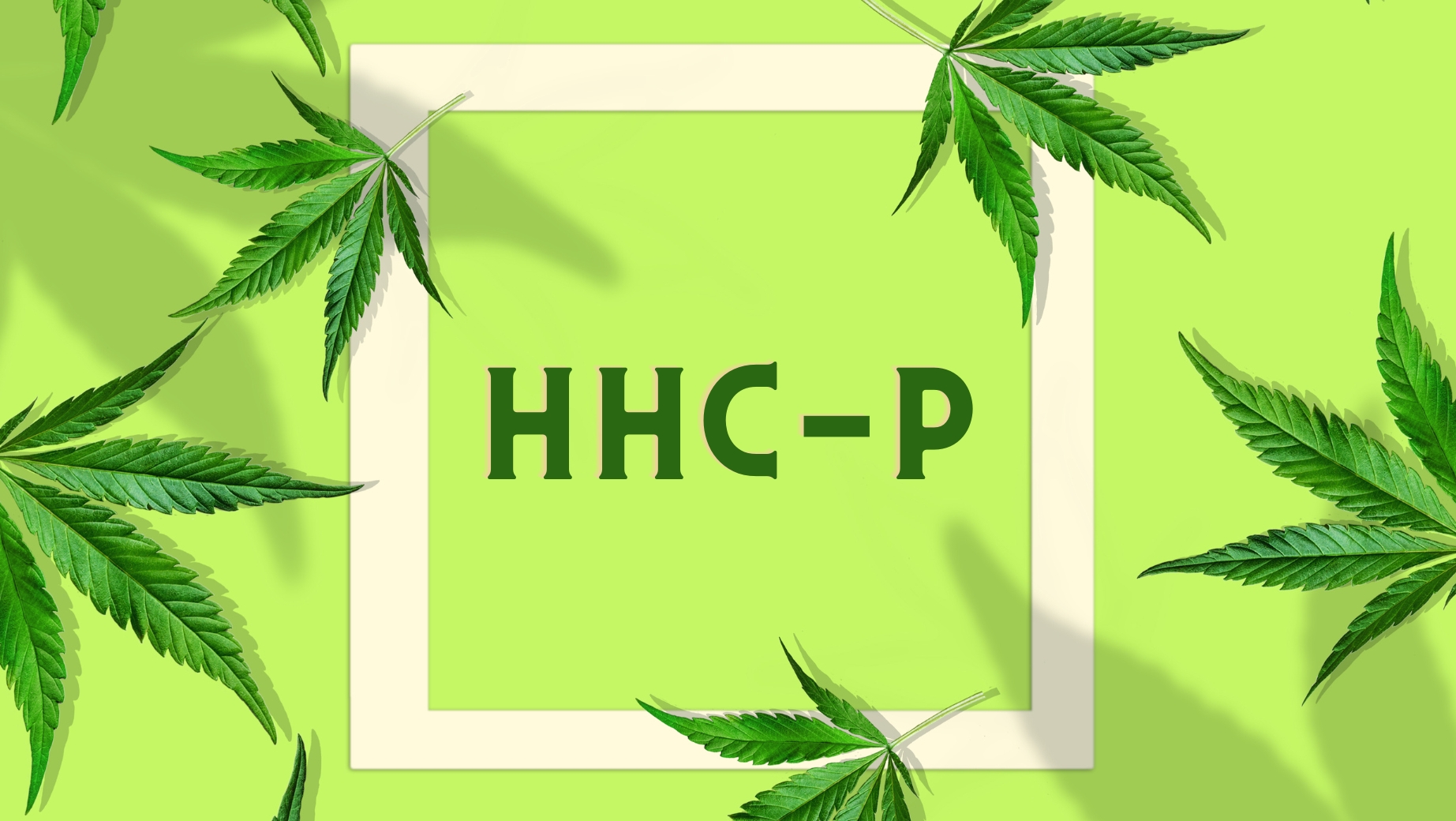 HHCP