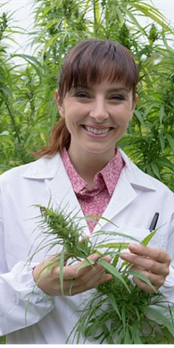 Hol termesztik a CBD-t?