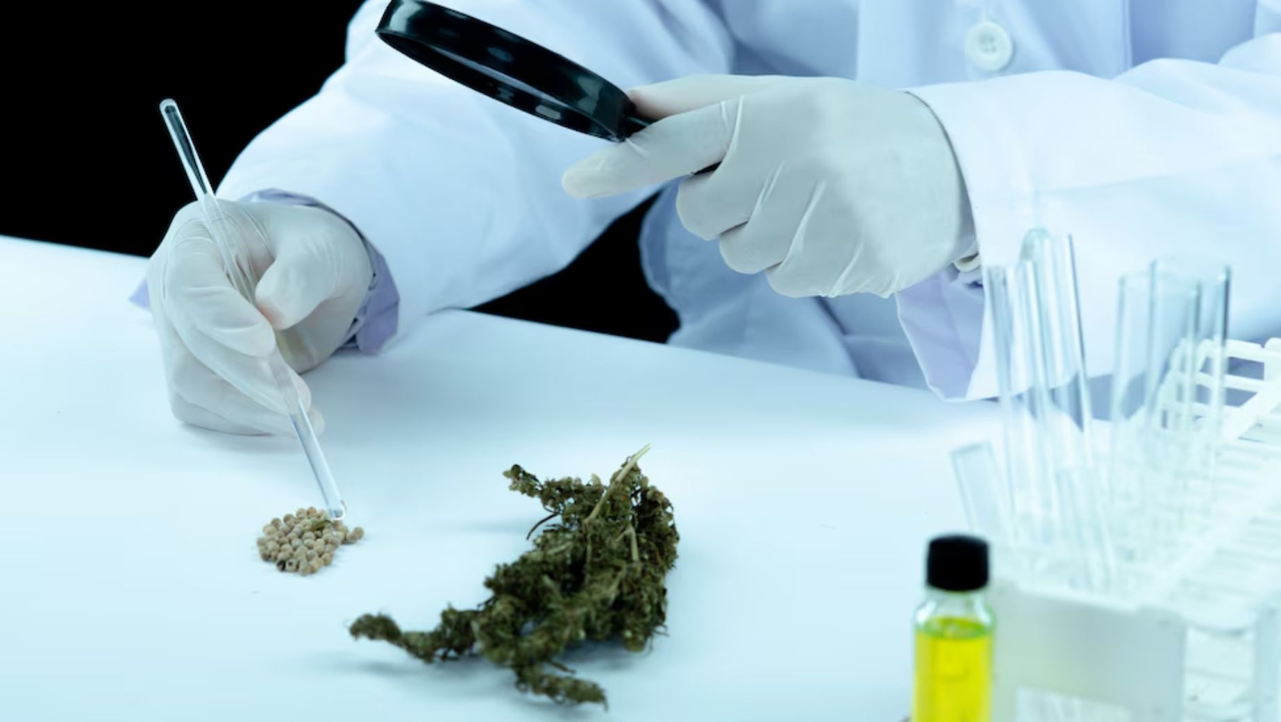 H4CBD laboratorní testy
