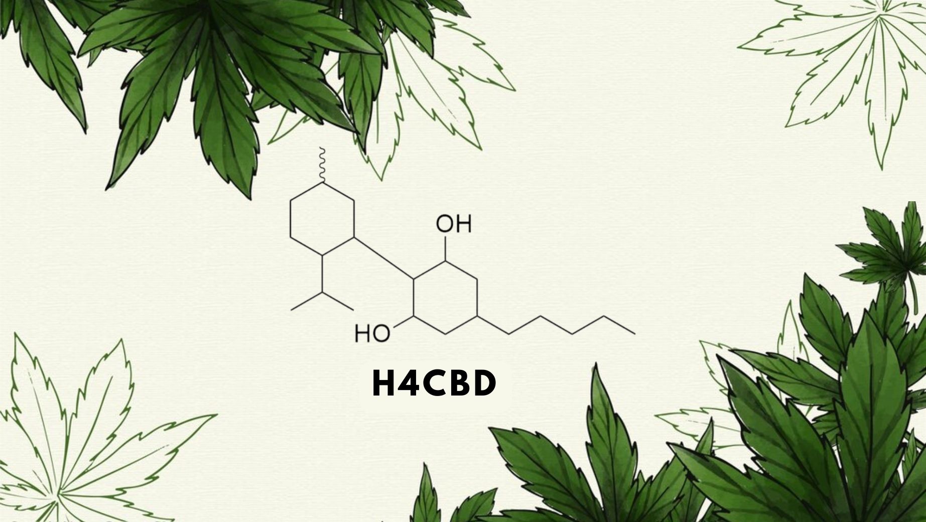 Chemický vzorec H4CBD