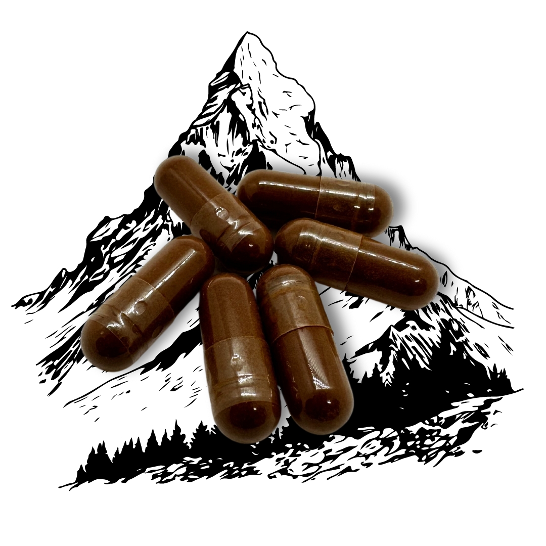 Shilajit kapsle