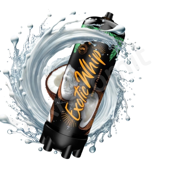 Bombička na šlehačku Coconut 670g