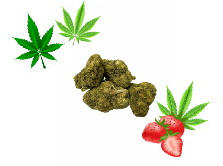 HHCPO květy
