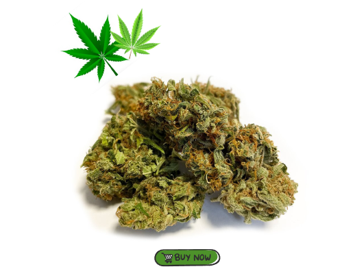 CBD květy