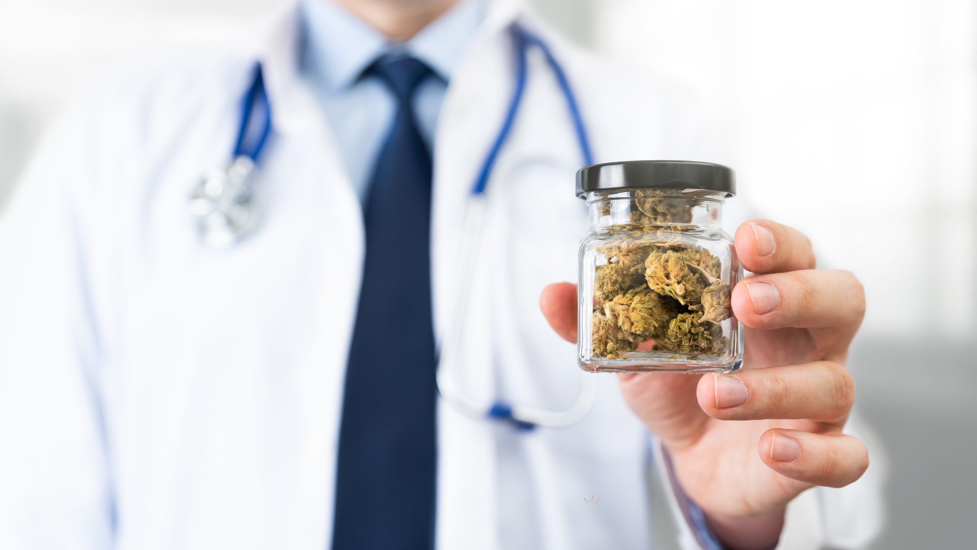 Cannabis vs. Hanf: Was ist der Unterschied wirklich?