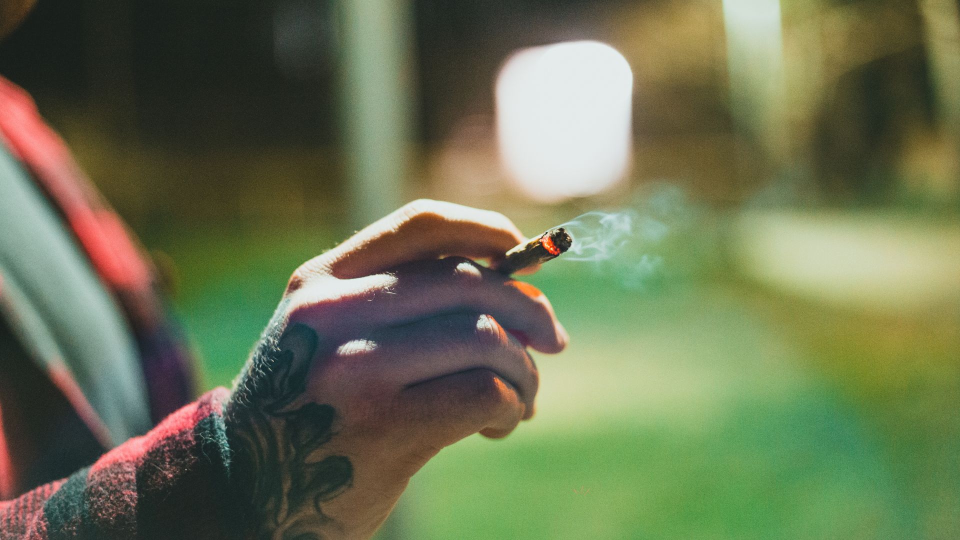 Macht Cannabis abhängig? Fakten vs. Mythen