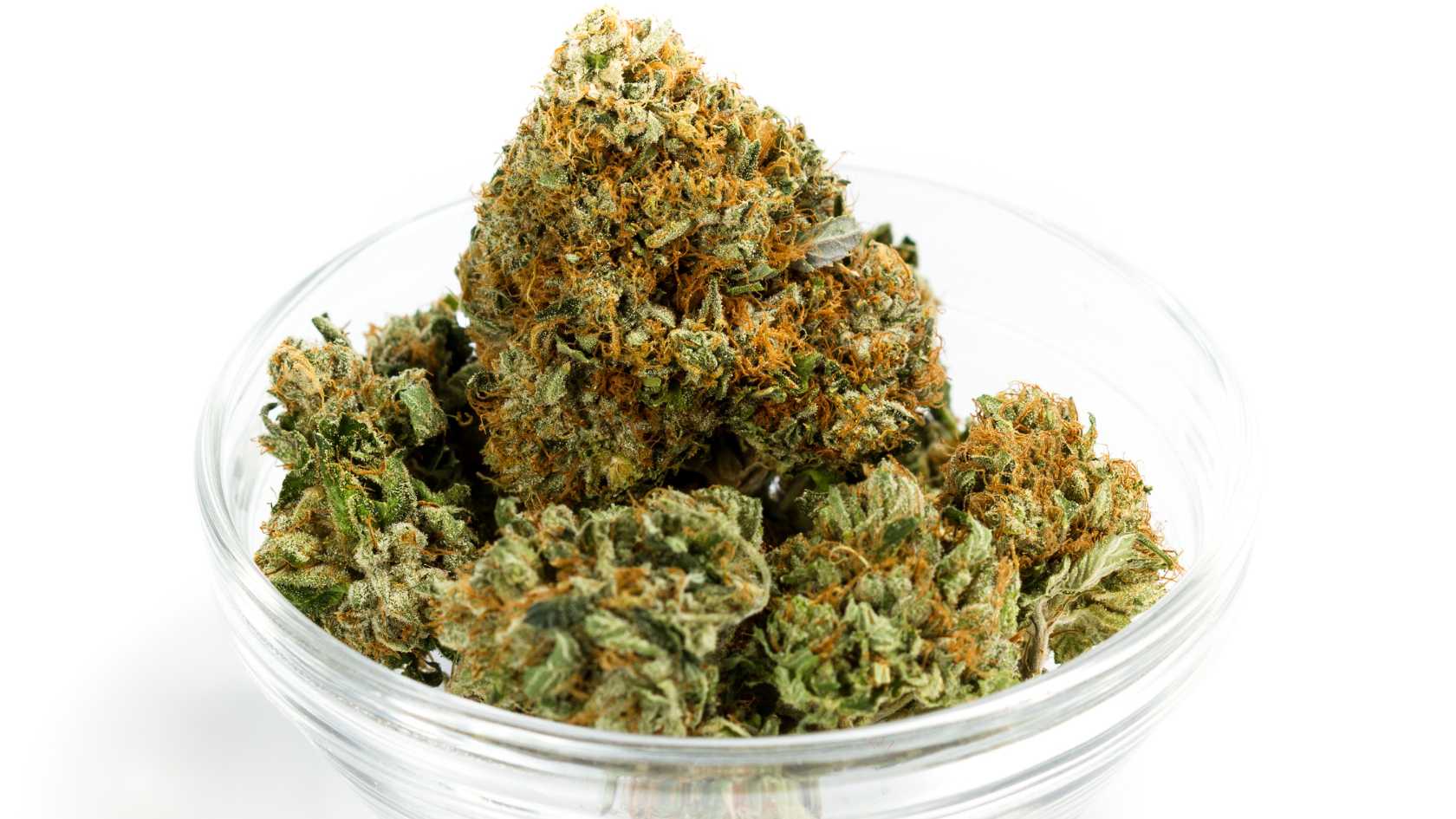 Wo kann man HHC Blüten kaufen? Und welche Alternativen gibt es?