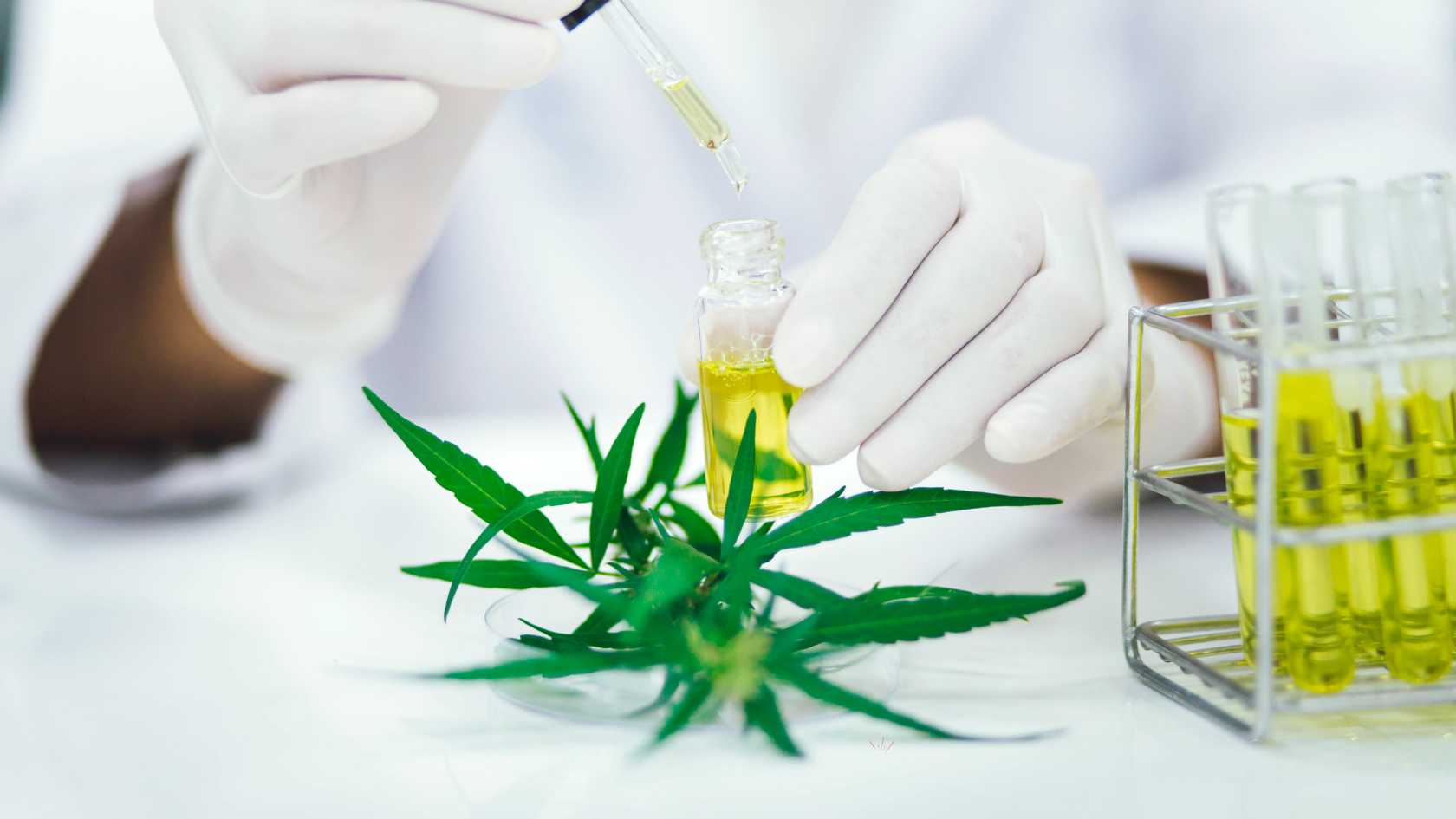 Wie lange bleibt THC im Blut? Die Antwort, die die Meisten schockiert