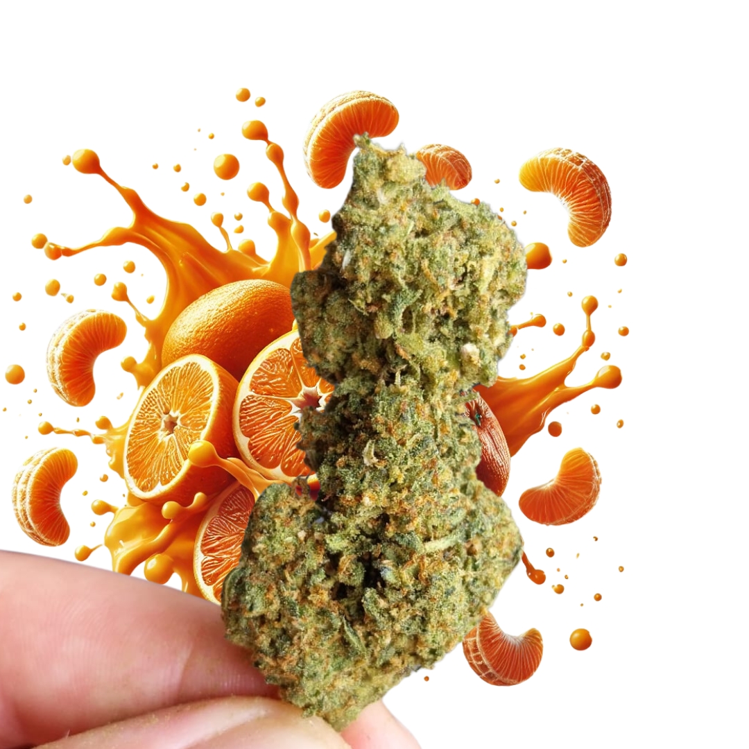 10-OH-HHC Blumen Mandarine 10%