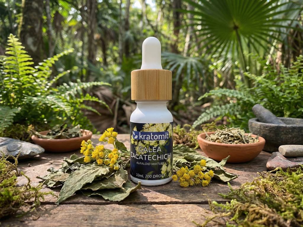 Calea zacatechichi botanisches Sammlerstück