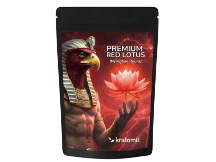 Rote Seerose Red Lotus